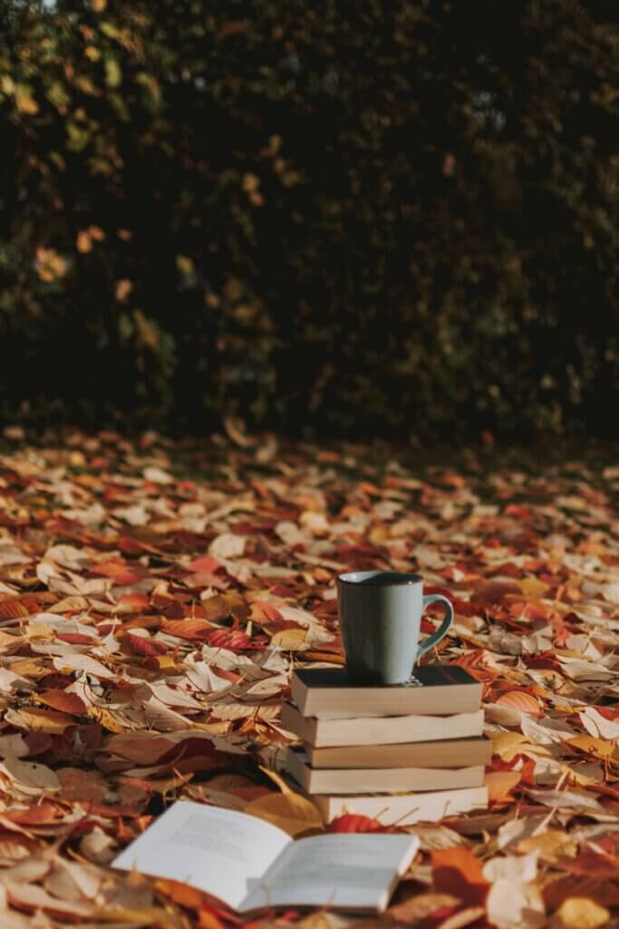 Forschung Literatur- und Kulturwissenschaft