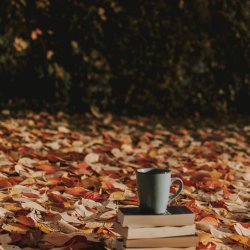 Forschung Literatur- und Kulturwissenschaft